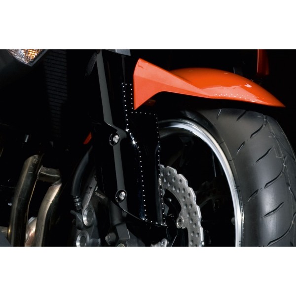 Kawasaki STONE CHIP PROTECTION